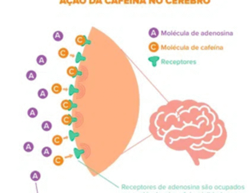 Café nosso de cada dia: existe um horário certo para tomar?